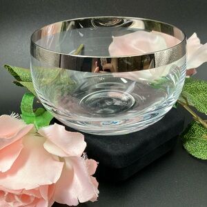 Dorothy Thorpe Silver Rim Glass Bowl